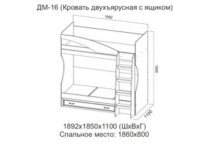 ДМ-16 Кровать двухъярусная с ящиком в Соликамске - solikamsk.магазин96.com | фото