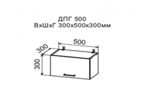 Шкаф верхний ДПГ500 горизонтальный в Соликамске - solikamsk.магазин96.com | фото