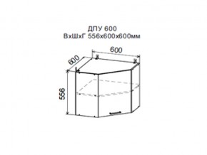 Шкаф верхний ДПУ600 угловой в Соликамске - solikamsk.магазин96.com | фото